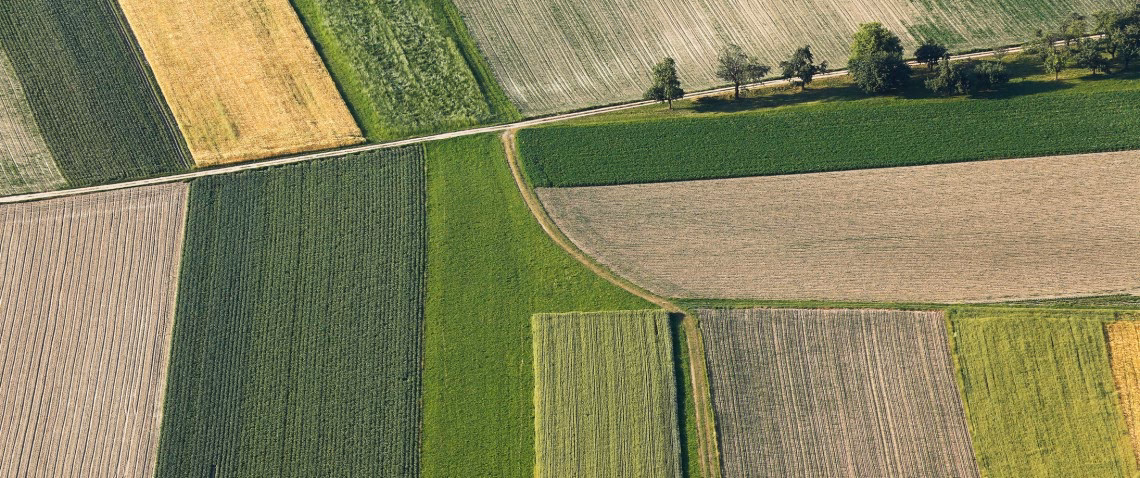 Co wchodzi w skład nieruchomości rolnej?