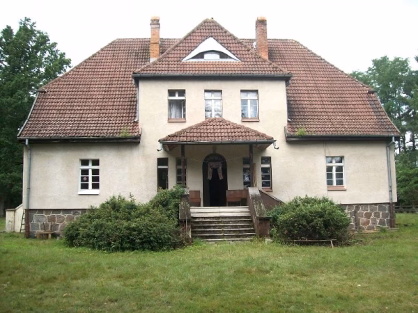 Czy Lasy Państwowe mogą sprzedawać nieruchomości?