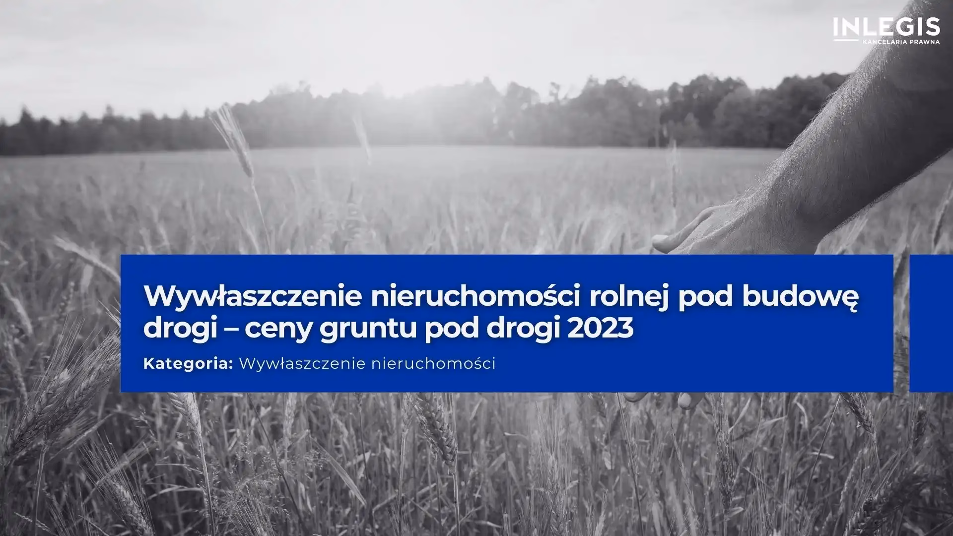 Co to jest wspólny grunt?