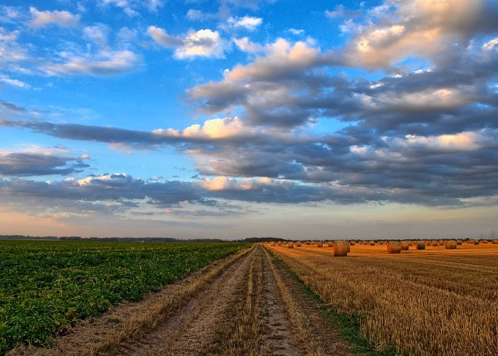 Czy dobrowolne umorzenie udziałów jest transakcją kontrolowaną?
