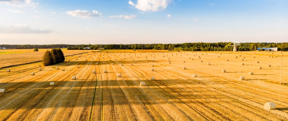 Czy grunty rolne to nieruchomość niezabudowana?