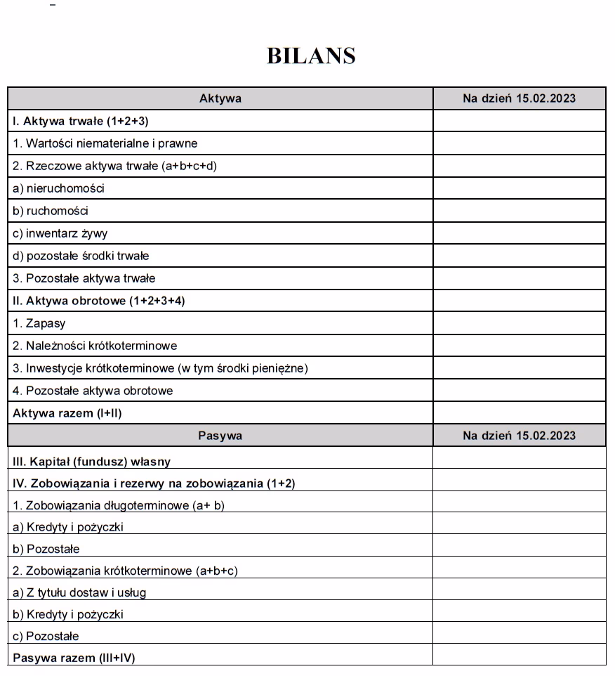 Co zaliczamy do inwestycji w bilansie?