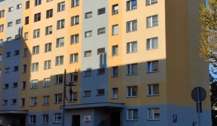 Z czego słyną Siemianowice Śląskie?