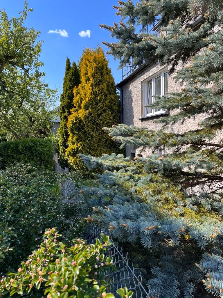 Kiedy powstała Zduńska Wola?