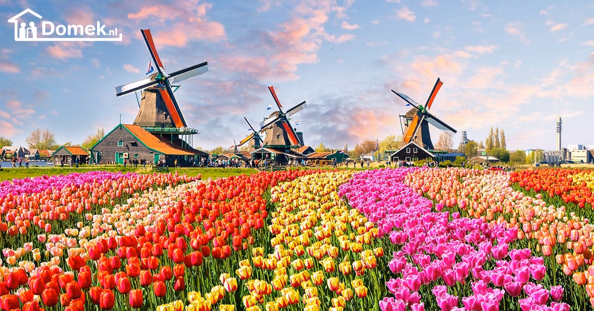 Czy holenderski rynek nieruchomości ulegnie załamaniu?