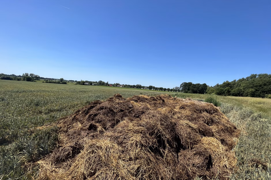 Jak daleko jest obornik od granicy działki?