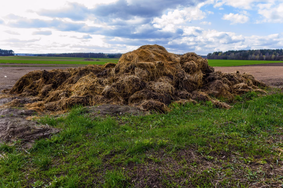 Kiedy nie wolno wozić obornika?